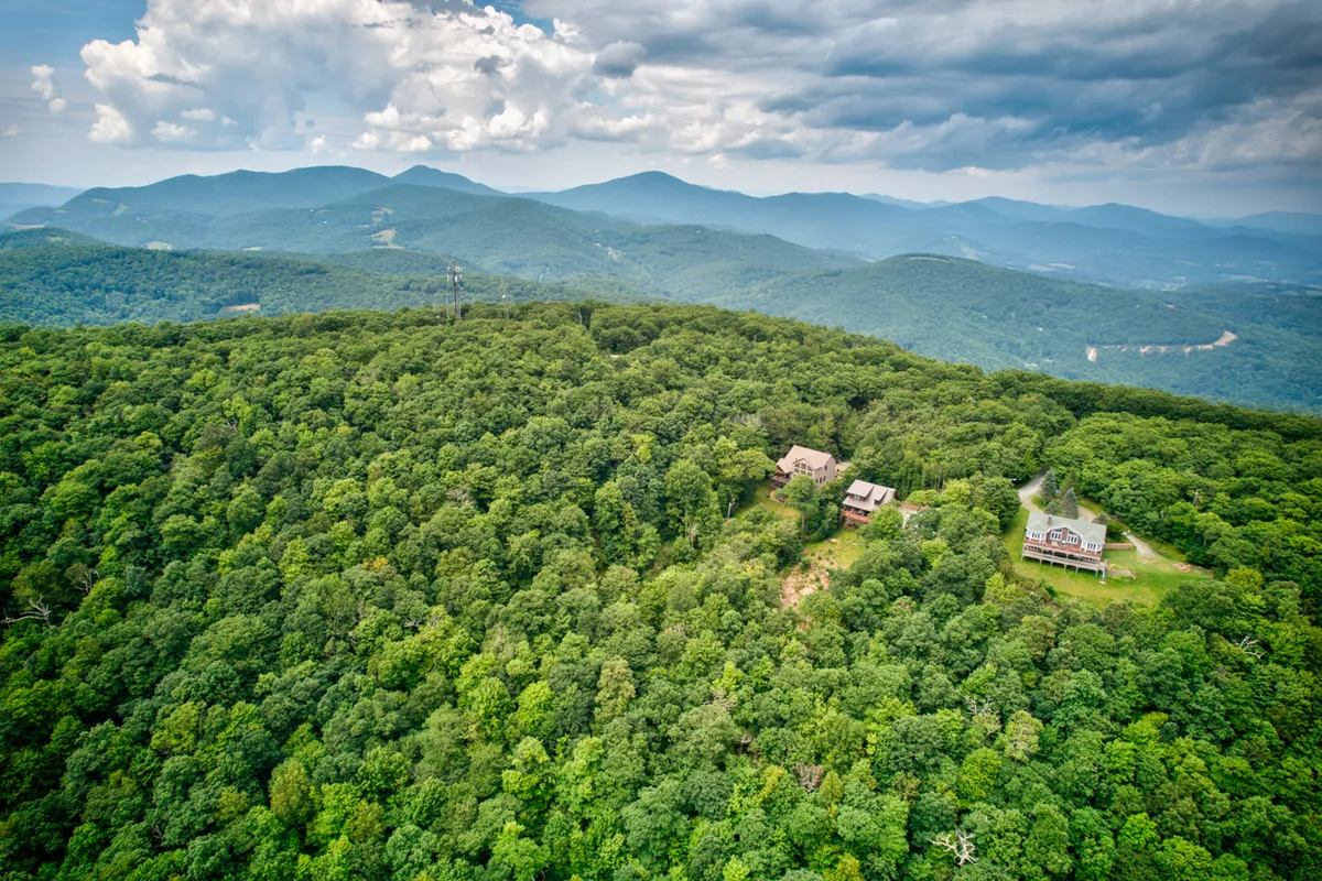 A wide view of a lush green forest stretches out toward distant mountains, with a few isolated houses nestled among the trees. The scene exudes tranquility and an immersive natural environment, perfect for hiking, nature walks, and outdoor play with pets.